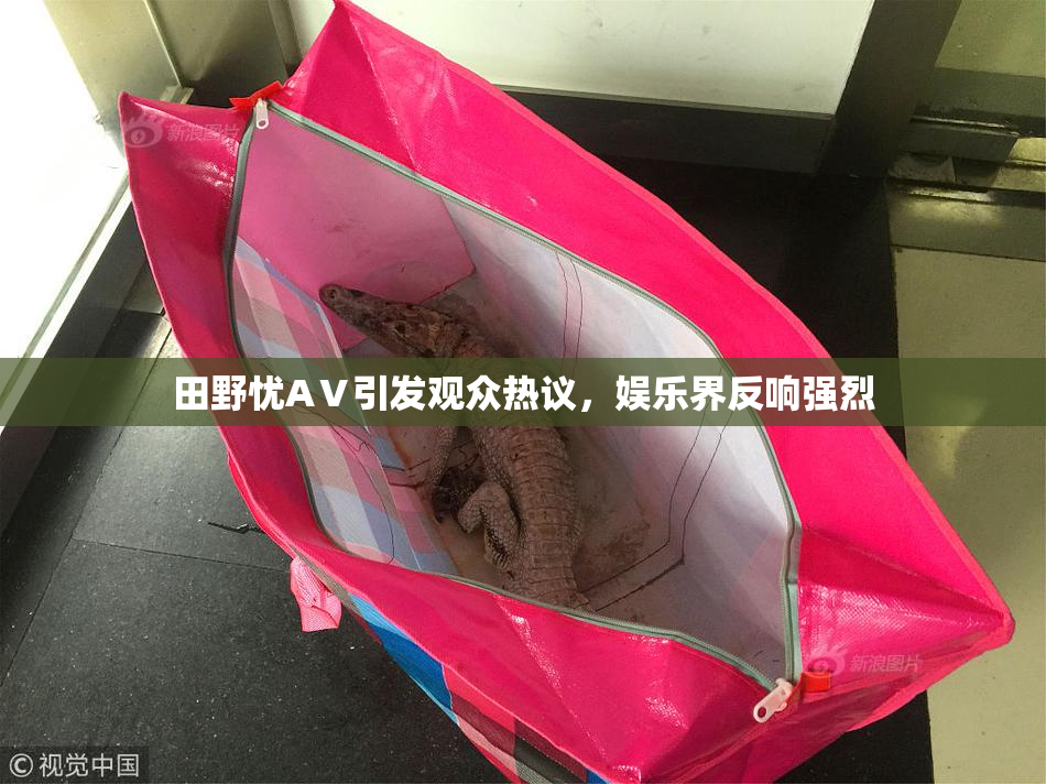 田野忧AⅤ引发观众热议，娱乐界反响强烈