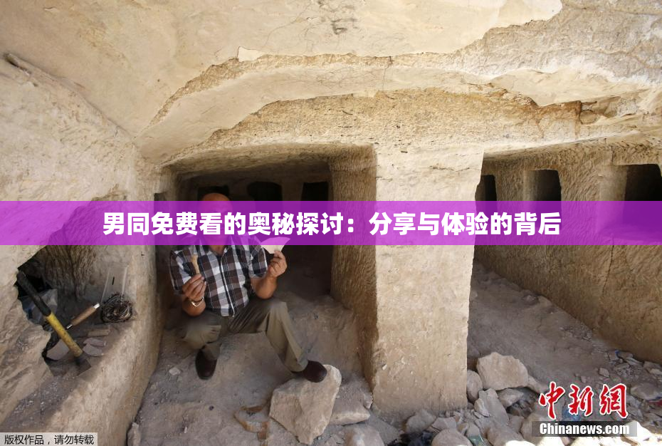 男同免费看的奥秘探讨：分享与体验的背后