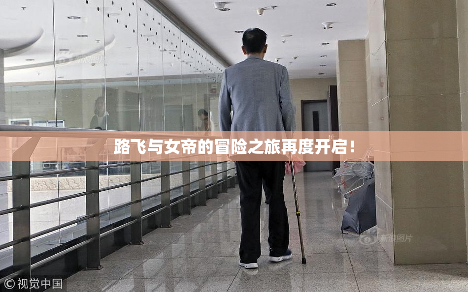 路飞与女帝的冒险之旅再度开启！