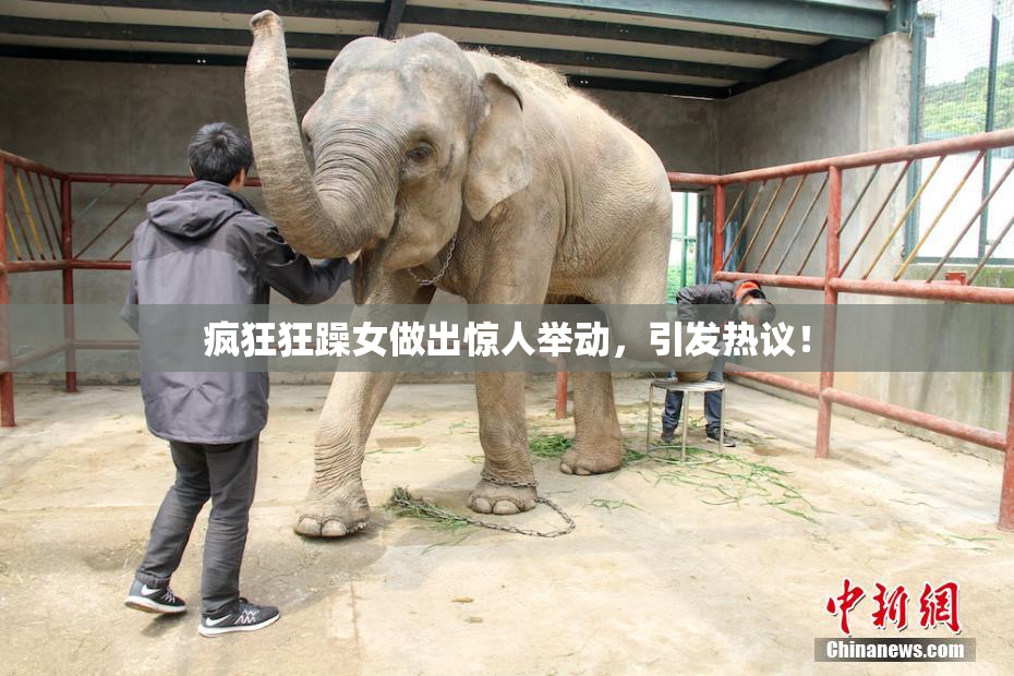 疯狂狂躁女做出惊人举动，引发热议！