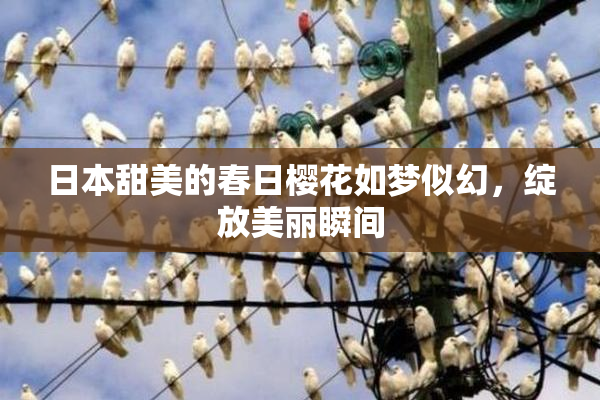 日本甜美的春日樱花如梦似幻，绽放美丽瞬间