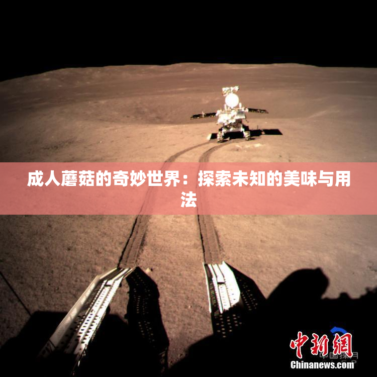 成人蘑菇的奇妙世界：探索未知的美味与用法