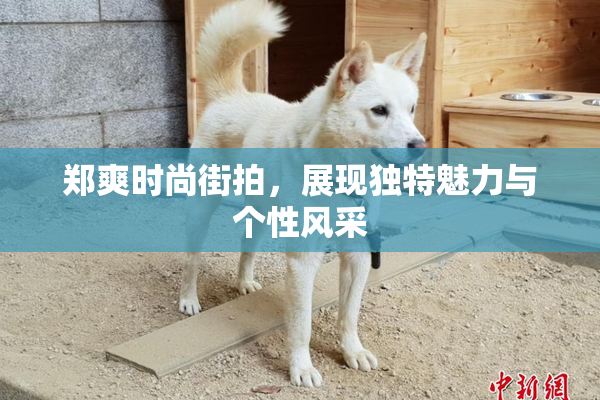 郑爽时尚街拍，展现独特魅力与个性风采