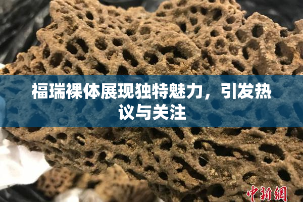 福瑞裸体展现独特魅力，引发热议与关注