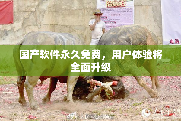 国产软件永久免费，用户体验将全面升级
