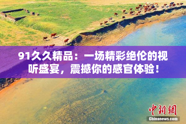 91久久精品：一场精彩绝伦的视听盛宴，震撼你的感官体验！