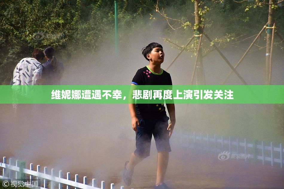 维妮娜遭遇不幸，悲剧再度上演引发关注
