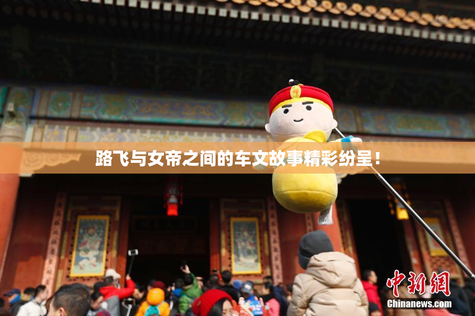 路飞与女帝之间的车文故事精彩纷呈！