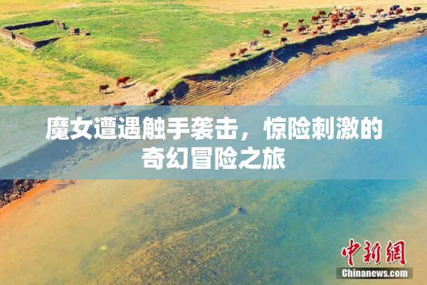 魔女遭遇触手袭击，惊险刺激的奇幻冒险之旅