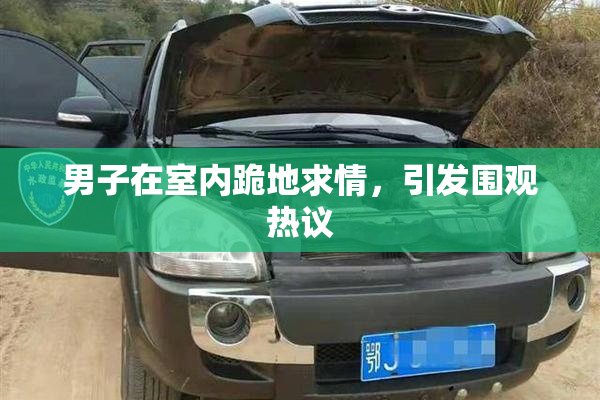 男子在室内跪地求情，引发围观热议