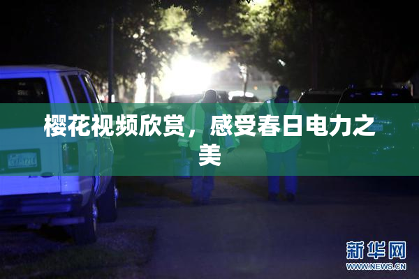 樱花视频欣赏，感受春日电力之美