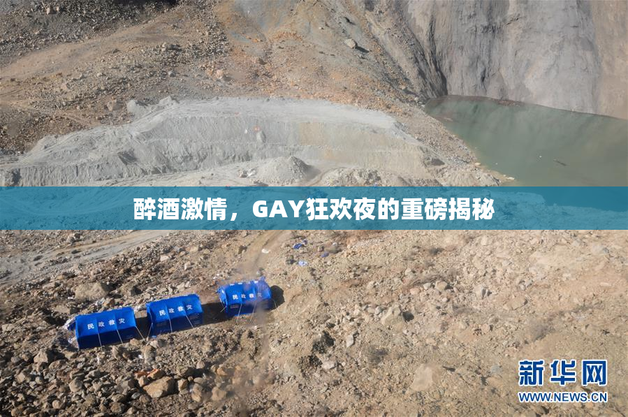醉酒激情，GAY狂欢夜的重磅揭秘