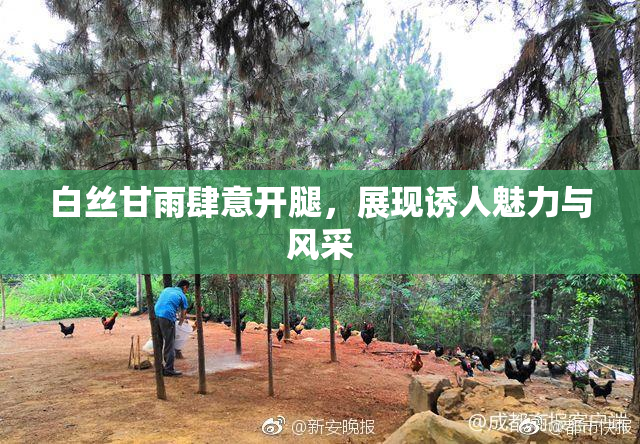 白丝甘雨肆意开腿，展现诱人魅力与风采