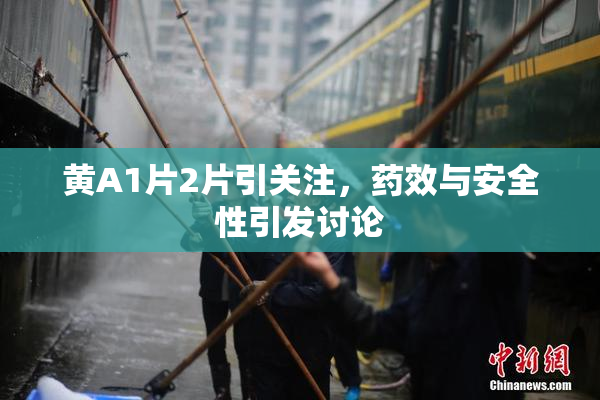黄A1片2片引关注，药效与安全性引发讨论