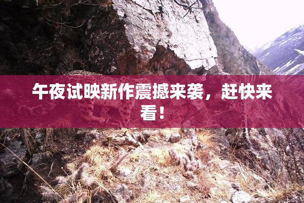 午夜试映新作震撼来袭，赶快来看！