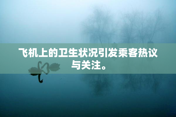 飞机上的卫生状况引发乘客热议与关注。