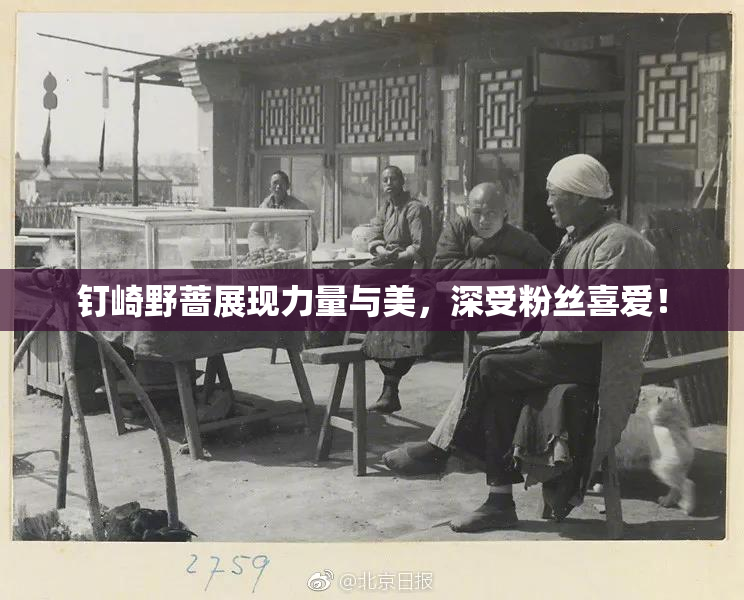 钉崎野蔷展现力量与美，深受粉丝喜爱！
