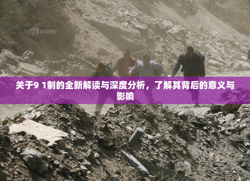 关于9 1制的全新解读与深度分析，了解其背后的意义与影响