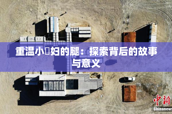 重温小婬妇的腿：探索背后的故事与意义
