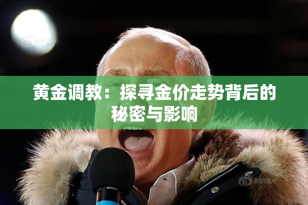 黄金调教：探寻金价走势背后的秘密与影响