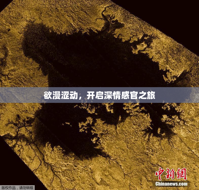 欲漫涩动，开启深情感官之旅