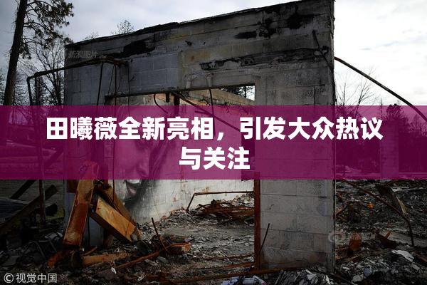 田曦薇全新亮相，引发大众热议与关注