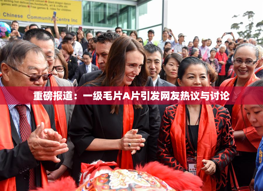 重磅报道：一级毛片A片引发网友热议与讨论