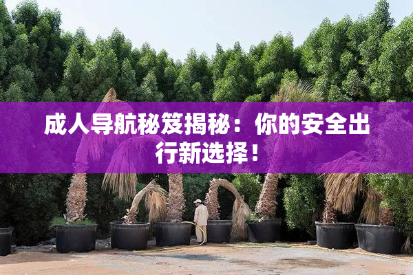 成人导航秘笈揭秘：你的安全出行新选择！