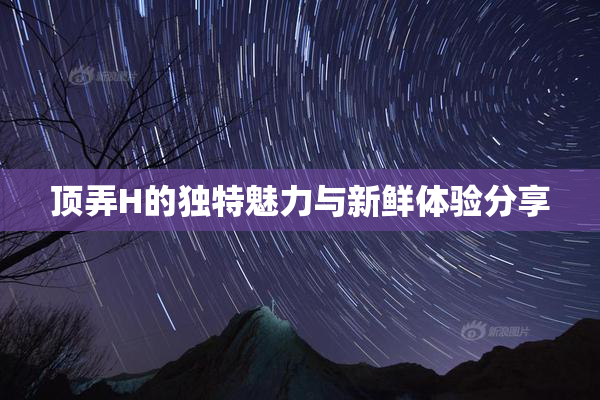 顶弄H的独特魅力与新鲜体验分享