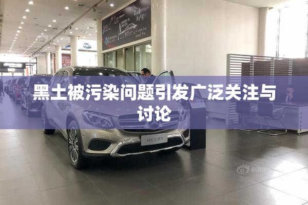 黑土被污染问题引发广泛关注与讨论