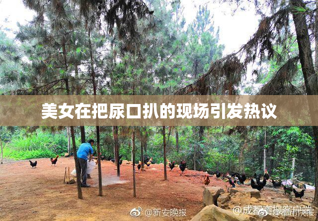 美女在把尿口扒的现场引发热议