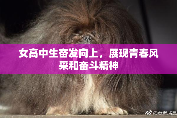 女高中生奋发向上，展现青春风采和奋斗精神