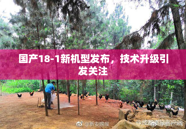 国产18-1新机型发布，技术升级引发关注