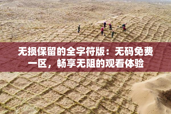 无损保留的全字符版：无码免费一区，畅享无阻的观看体验