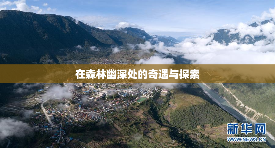 在森林幽深处的奇遇与探索