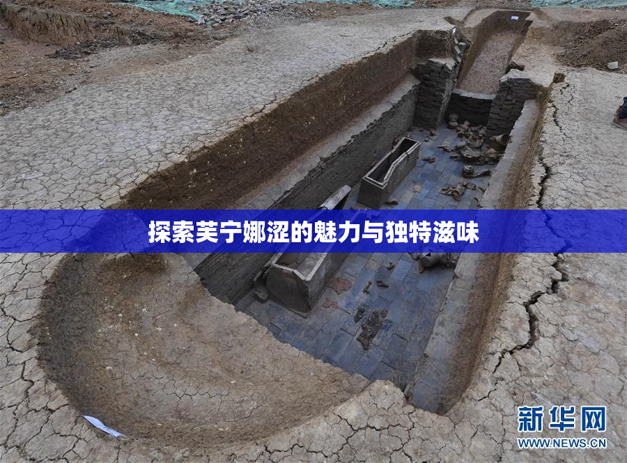 探索芙宁娜涩的魅力与独特滋味