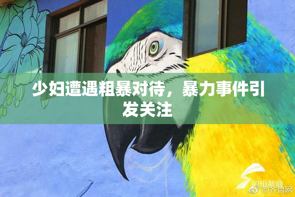 少妇遭遇粗暴对待，暴力事件引发关注
