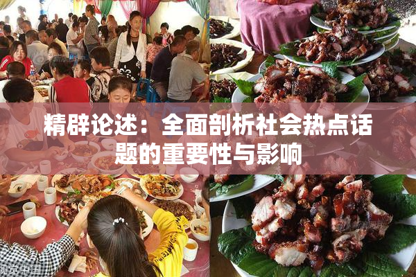 精辟论述：全面剖析社会热点话题的重要性与影响