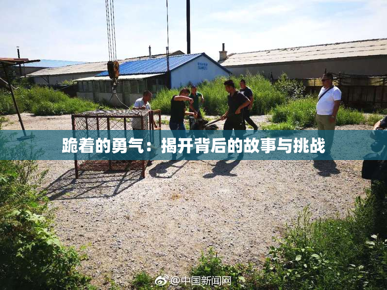 跪着的勇气：揭开背后的故事与挑战