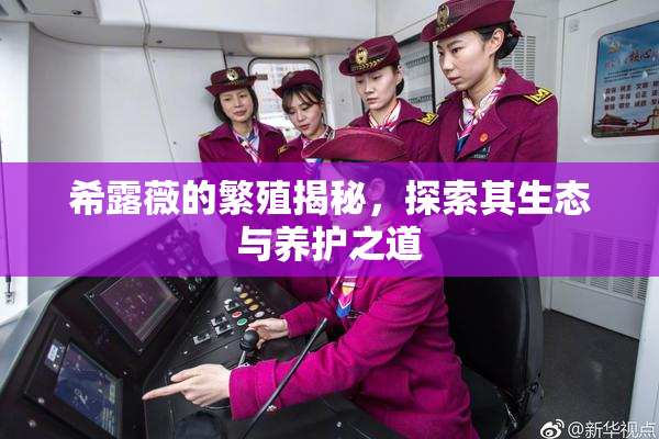希露薇的繁殖揭秘，探索其生态与养护之道