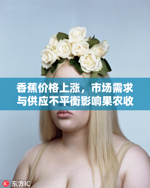 香蕉价格上涨，市场需求与供应不平衡影响果农收益