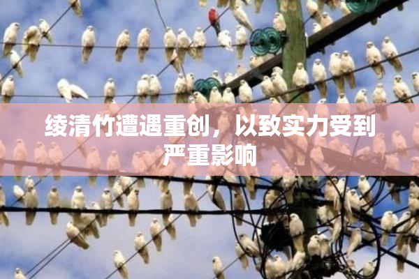 绫清竹遭遇重创，以致实力受到严重影响