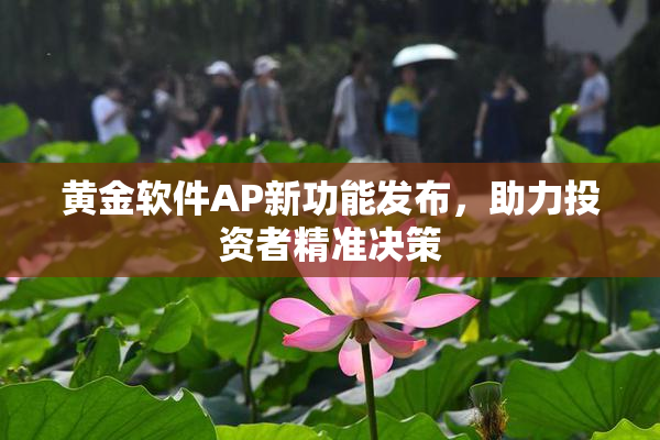 黄金软件AP新功能发布，助力投资者精准决策