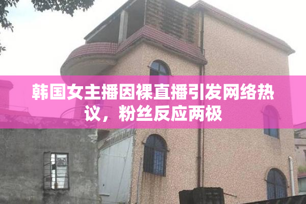 韩国女主播因裸直播引发网络热议，粉丝反应两极