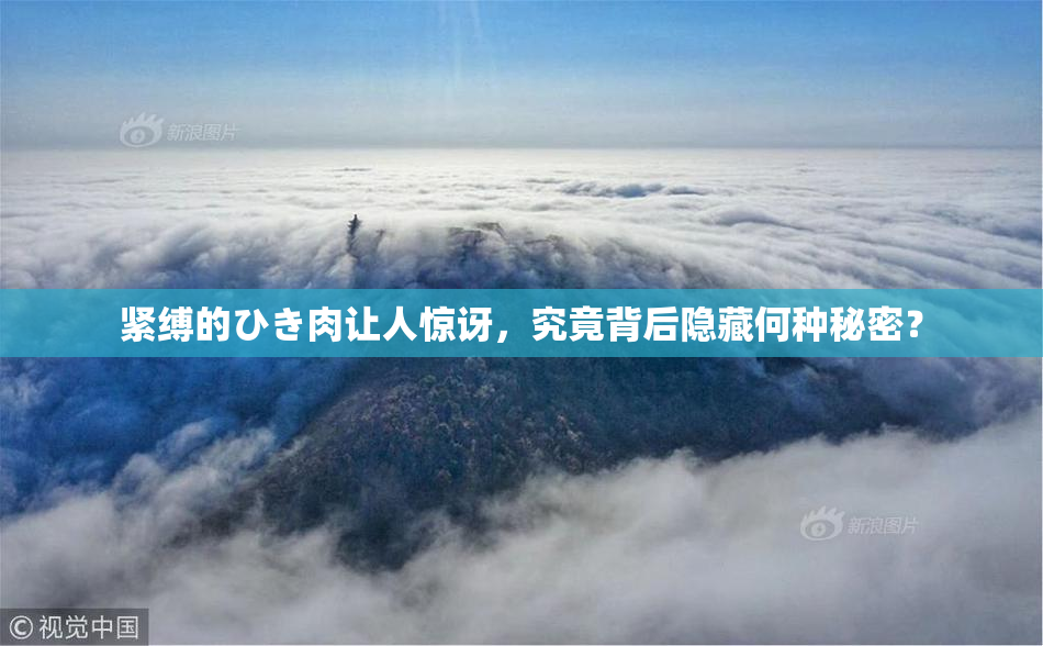 紧缚的ひき肉让人惊讶，究竟背后隐藏何种秘密？