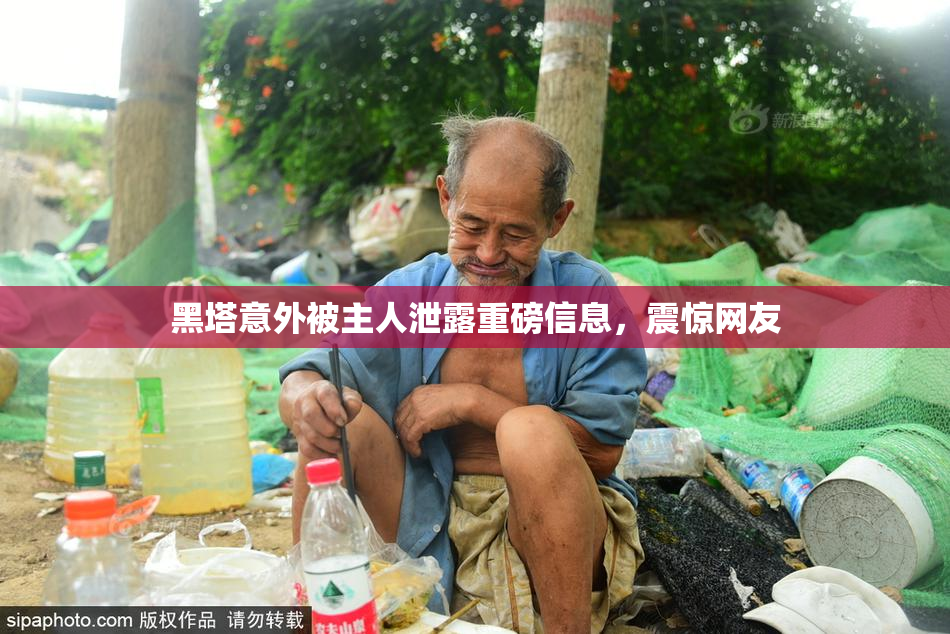 黑塔意外被主人泄露重磅信息，震惊网友