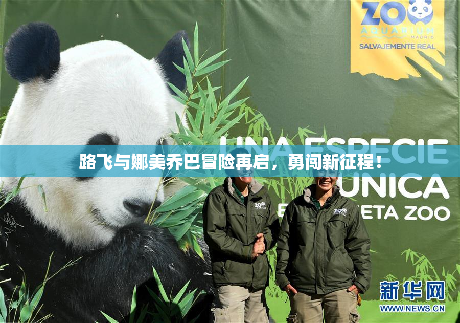 路飞与娜美乔巴冒险再启，勇闯新征程！