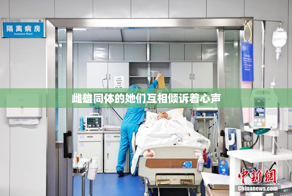 雌雄同体的她们互相倾诉着心声