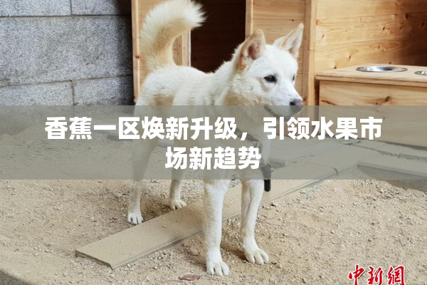 香蕉一区焕新升级，引领水果市场新趋势
