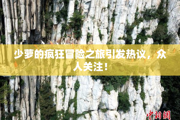 少萝的疯狂冒险之旅引发热议，众人关注！
